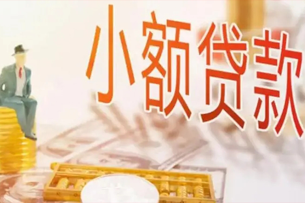 成都武侯私人身份证借私借-成都武侯个人上门小额贷款-成都武侯短借公证